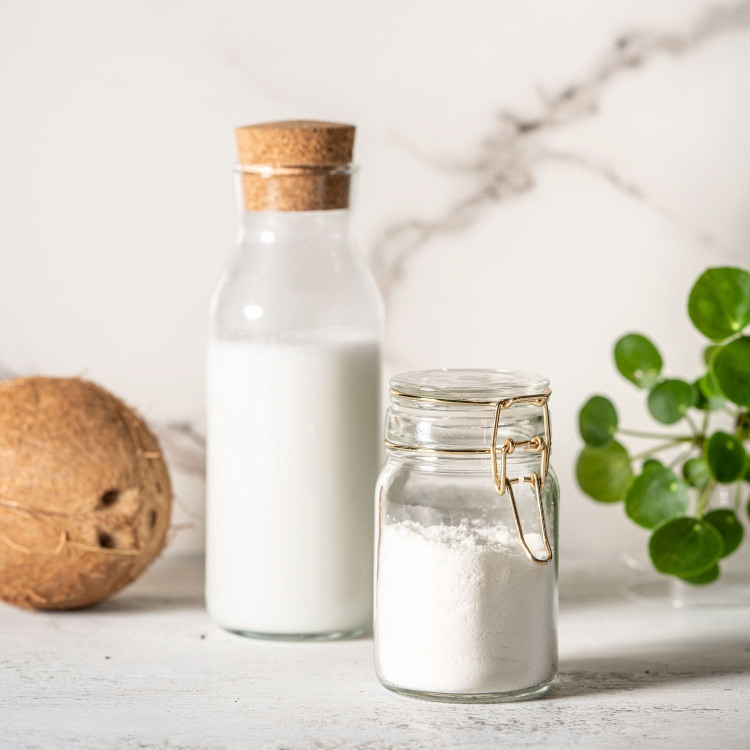 LATTE DI COCCO - immagine 4